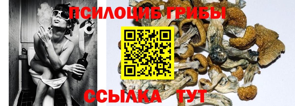Псилоцибиновые грибы MAGIC MUSHROOMS Великий Устюг